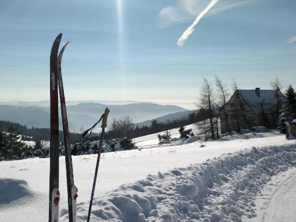 Apartmány Forest Kovářská Exterior foto